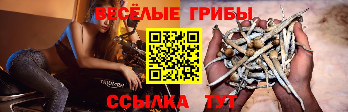 Галлюциногенные грибы мухоморы Брянск